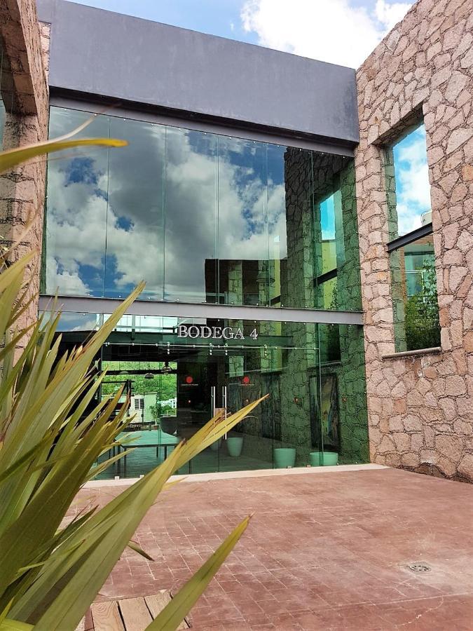 Hotel Camino De Piedra Guanajuato Ngoại thất bức ảnh